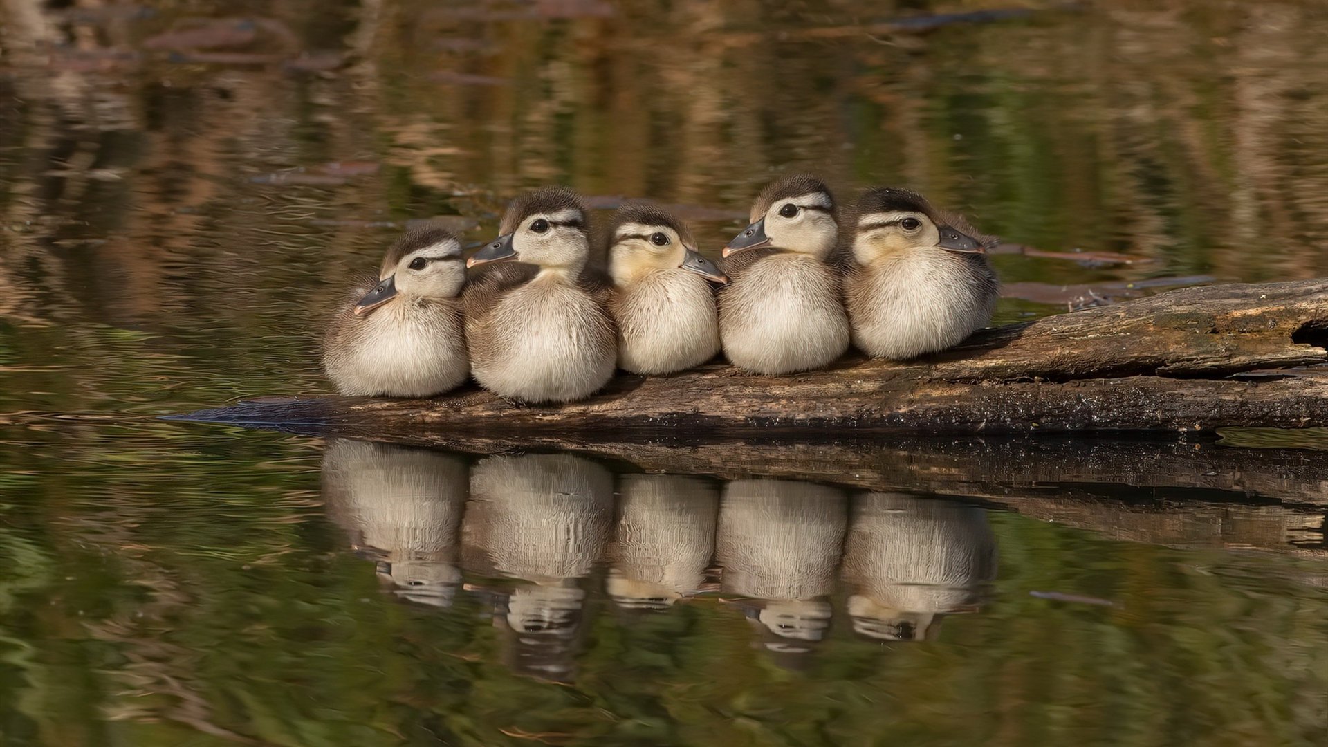 2025世俱杯对阵表-_技术与战术比拼：网球场上的精彩大比拼_，网球技战术训练方法