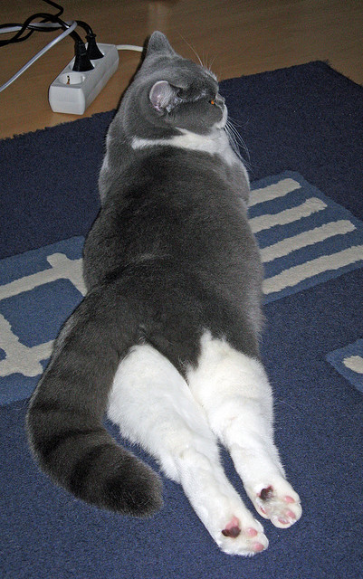 _青少年网球赛火爆开幕,未来之星集结_,青少年网球比赛视频