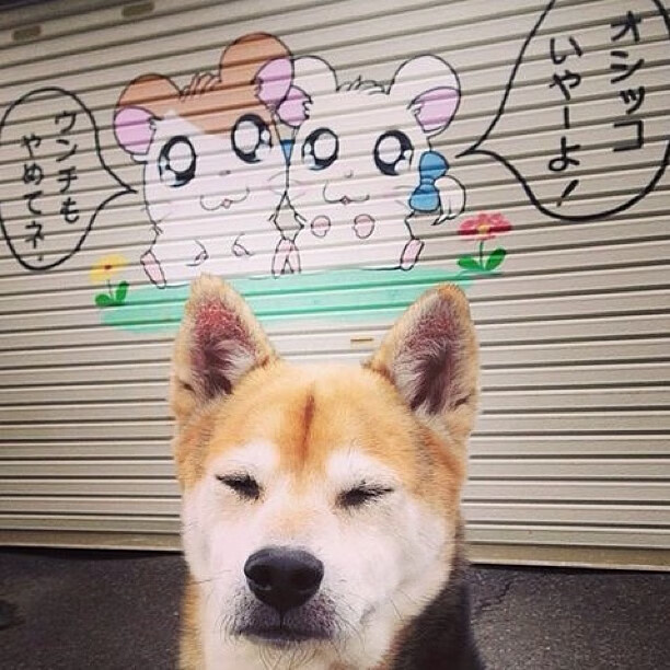 _魔术队排兵布阵,战胜强敌继续前行_,魔术队伍