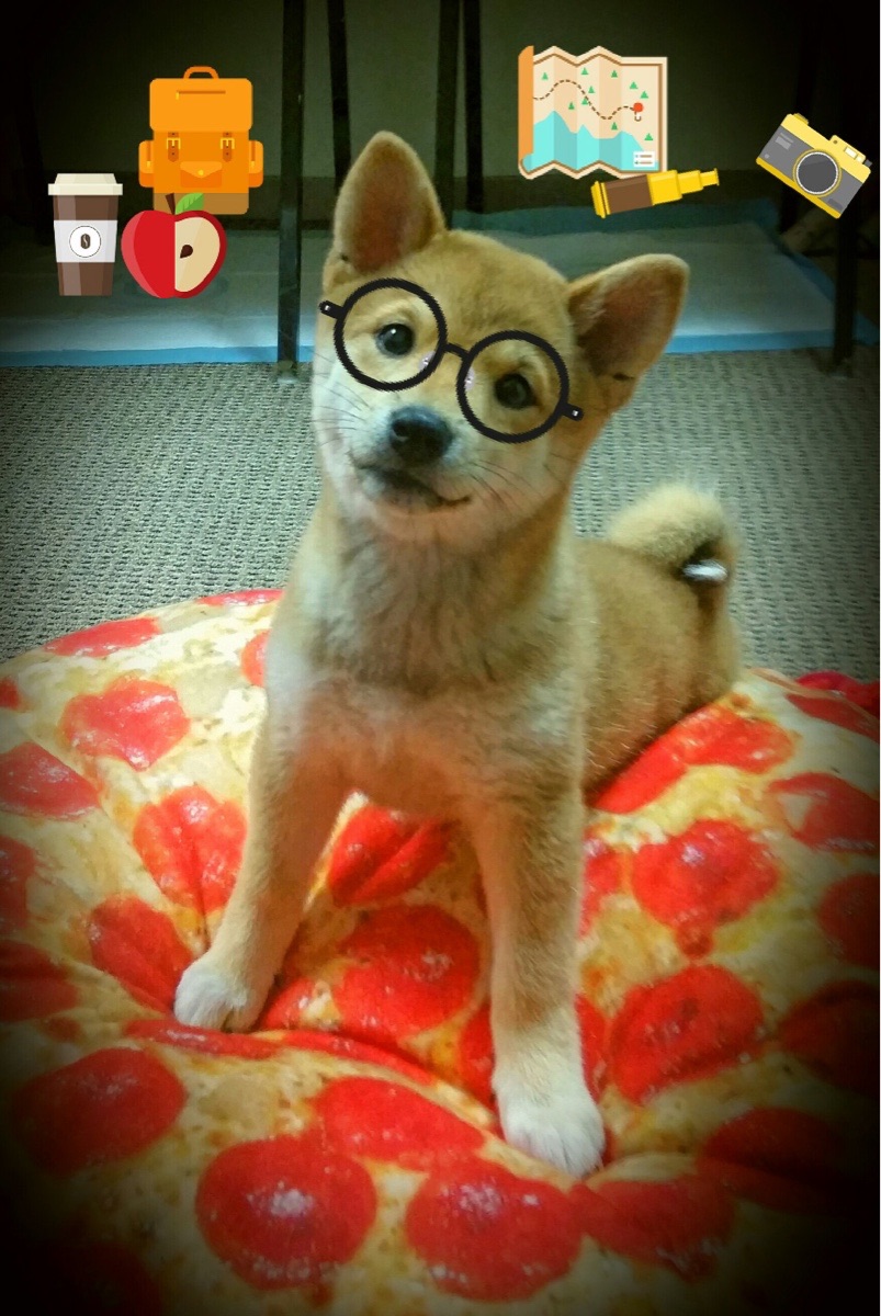 _骑士年轻二人组火力全开,未来无限可期_,骑士lx