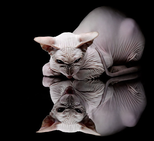 “未来足球运动科学训练在国内全面推行”,未来足球技术的发展方向