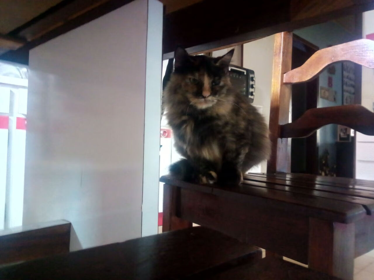 《2025英雄联盟全球总决赛,冠军悬念逐步揭晓》,英雄联盟20年总决赛