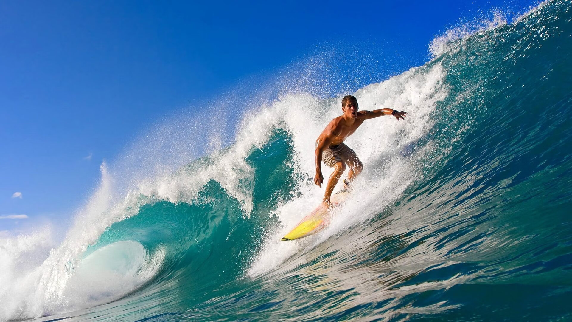 习近平在人民大会堂接见第33届奥运会中国体育代表团全体成员并发表重要讲话。