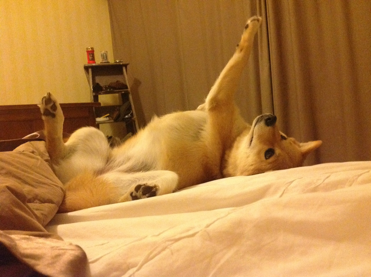 世俱杯官方-史上最激烈的“季后赛火拼”比赛都有哪些精彩场面？，季后赛热火