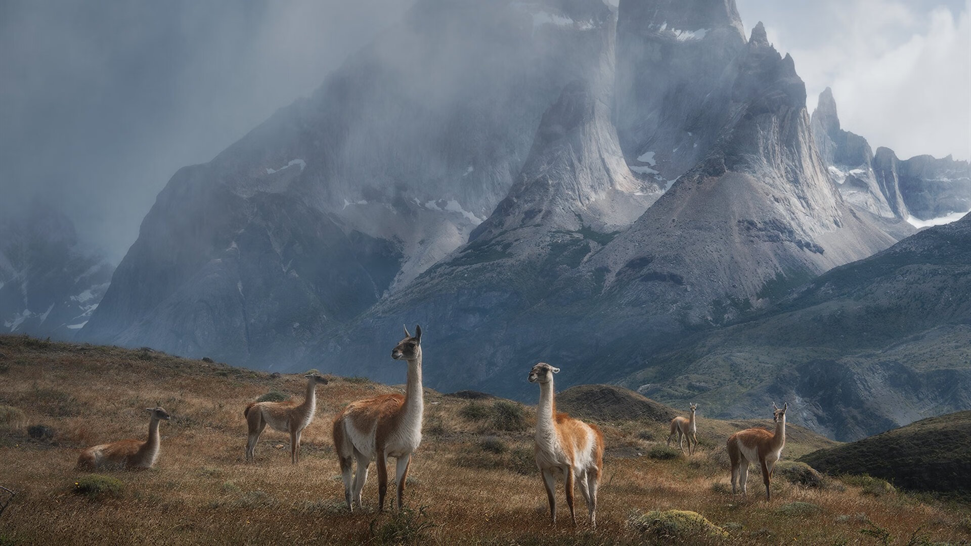 国际滑冰联合会推广青少年项目,促进冰雪运动普及,国际滑冰联合会规则规定