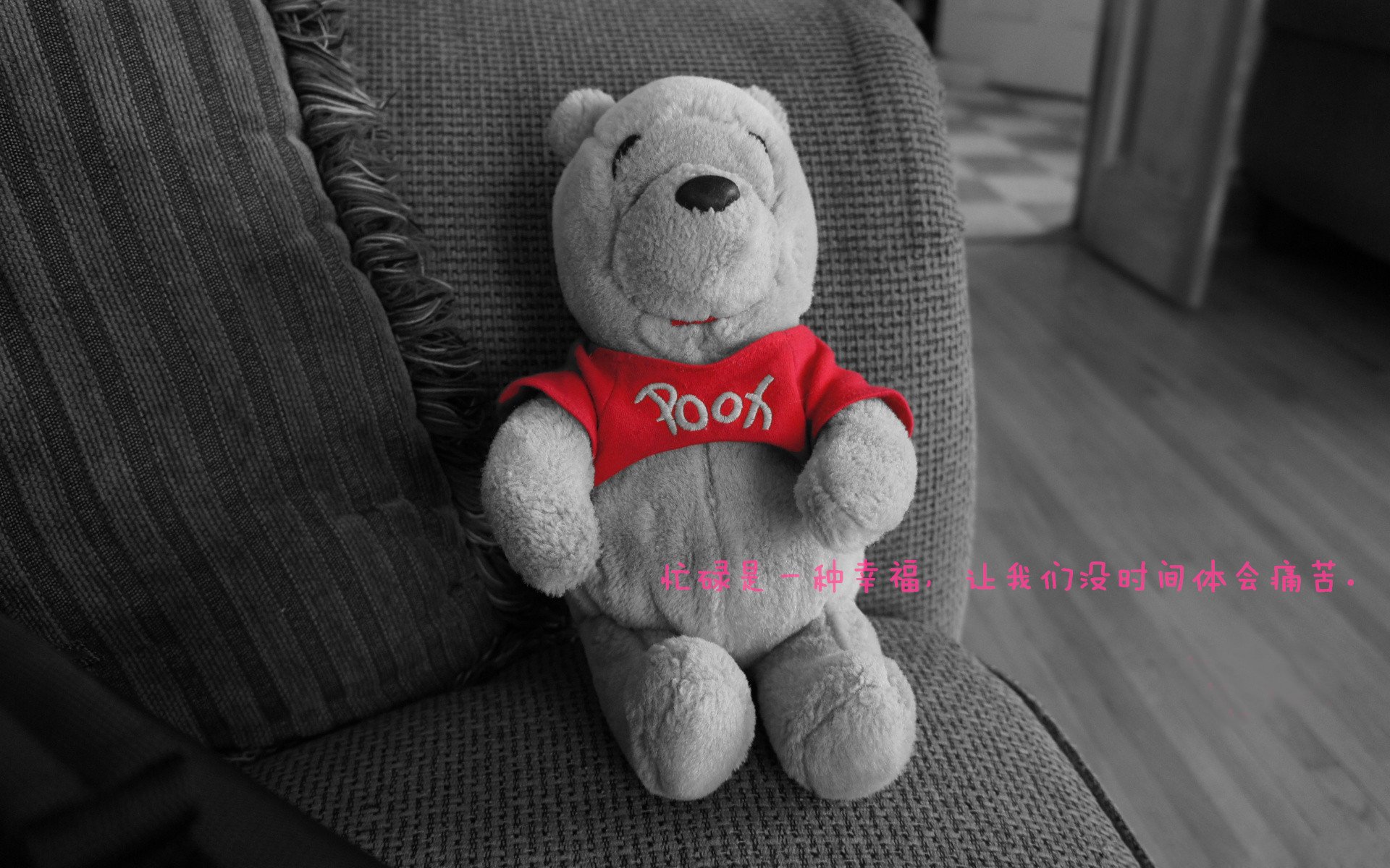 2025世俱杯赛程-意甲联盟持续推动青训体系普及，培养未来球星，意甲青训怎么算