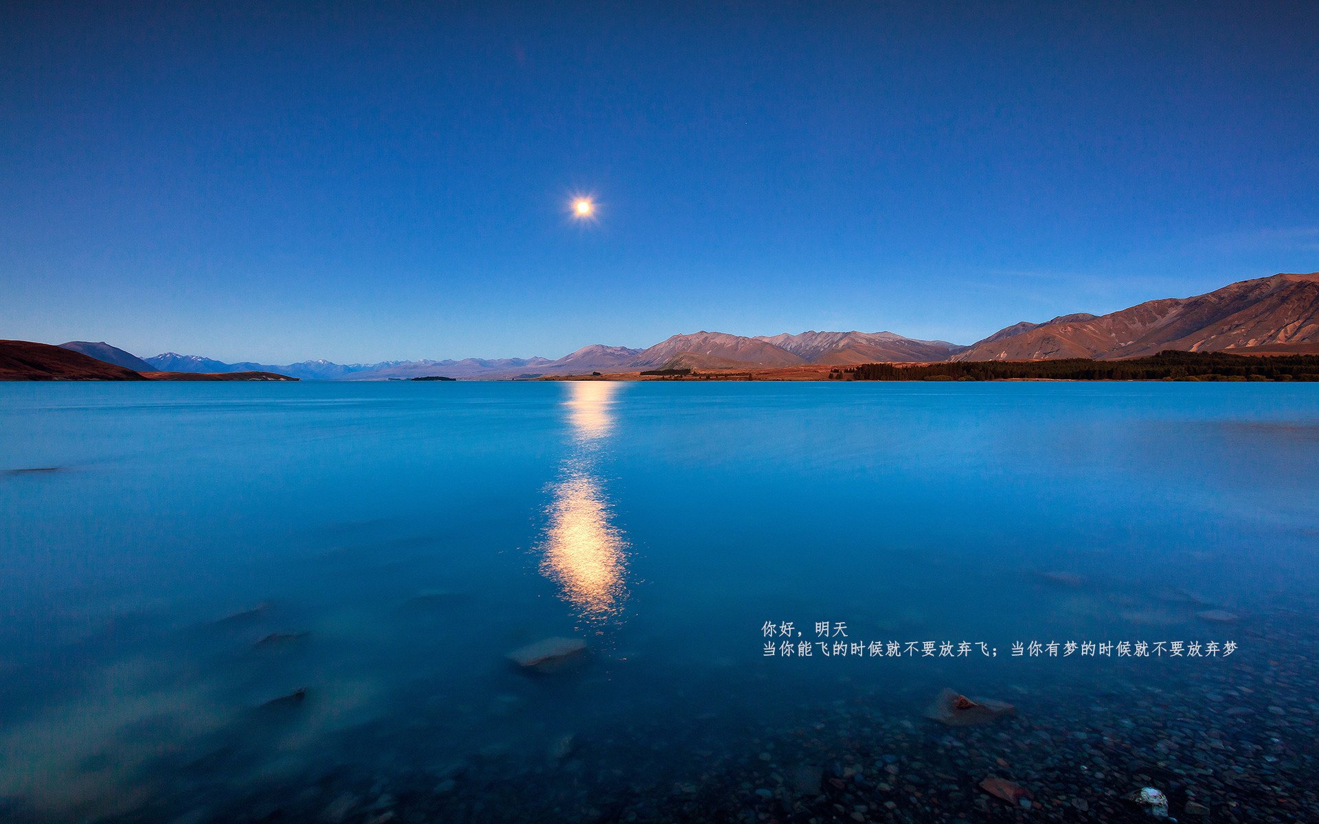 世俱杯网站-战术大师：分析NBA顶级战术布置的奥秘，nba战术术语