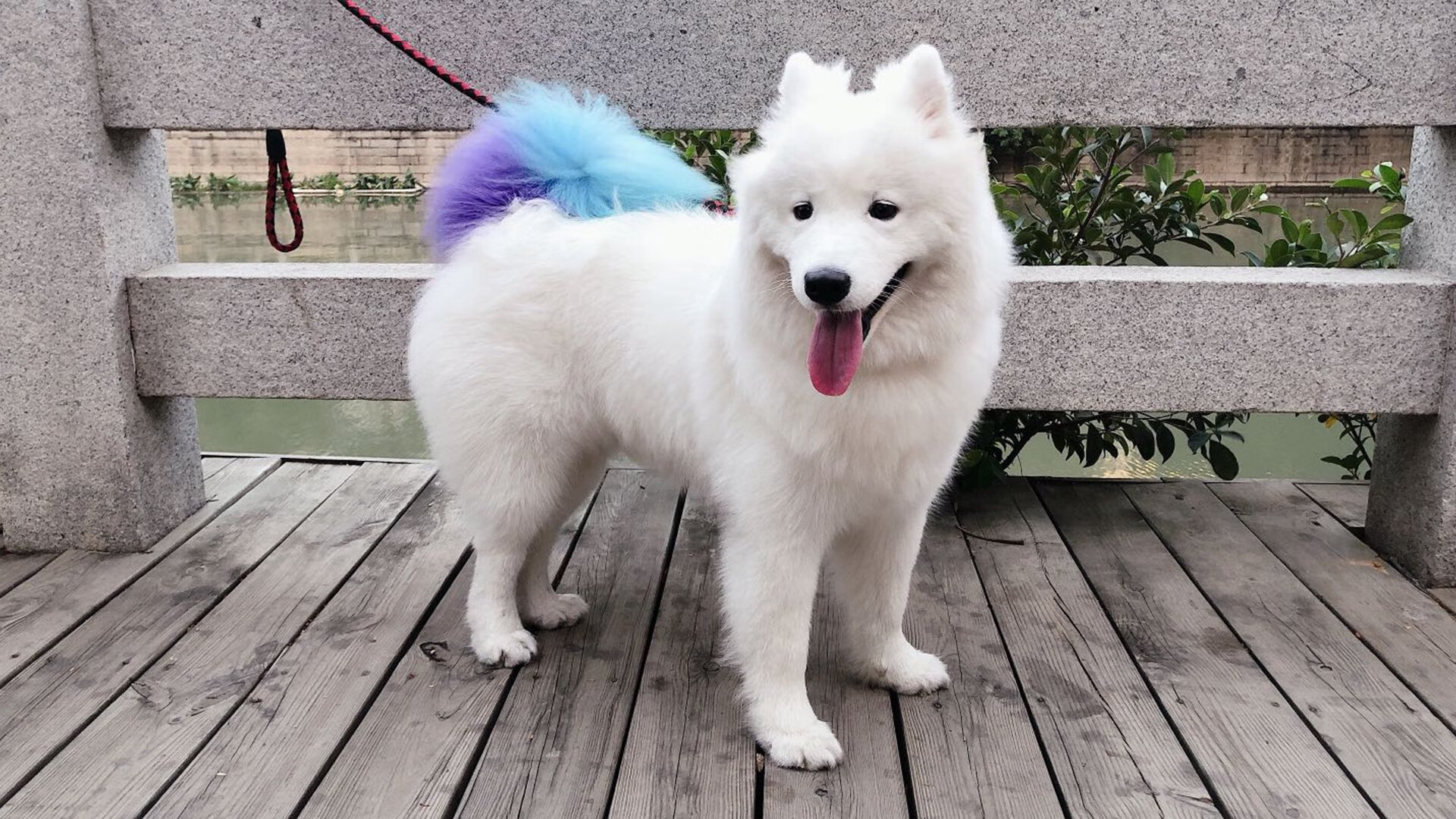 2025世俱杯赛程-期待已久的“年度最佳新秀”投票即将开启，最佳新秀是谁