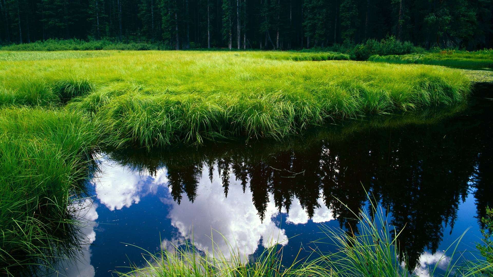 法甲激烈竞争,精彩进球、关键扑救成赛事亮点,法甲比赛规则