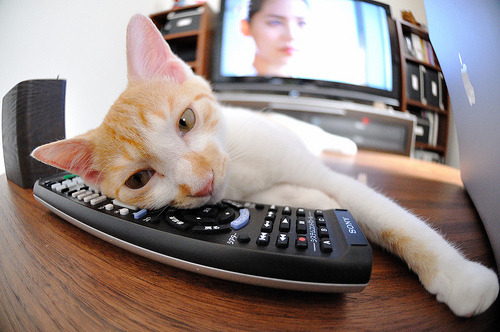 世俱杯足球赛事在线直播-足球主教练战术沙龙在沪成功举办，足球 主教练