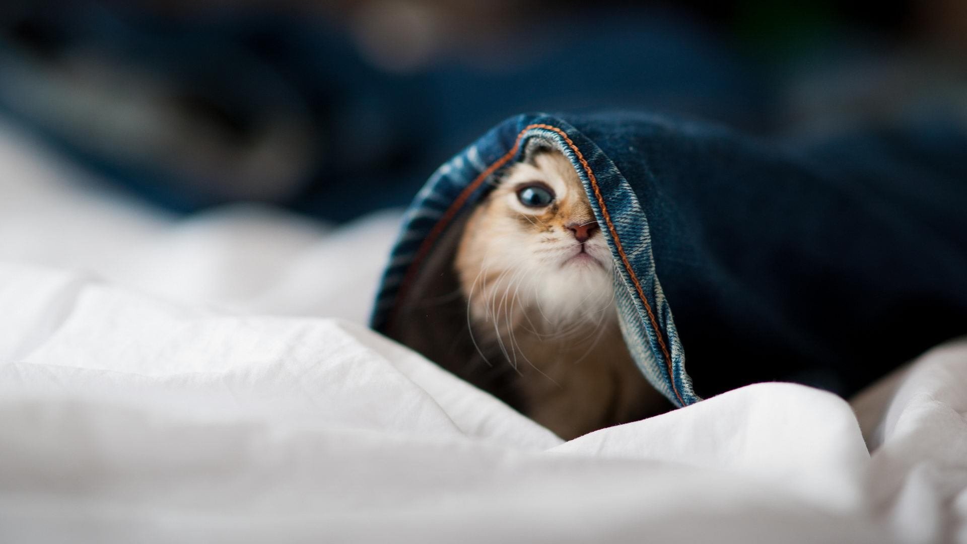 中国女足在比赛中体现出自信气质,中国女足在比赛中体现出自信气质的句子