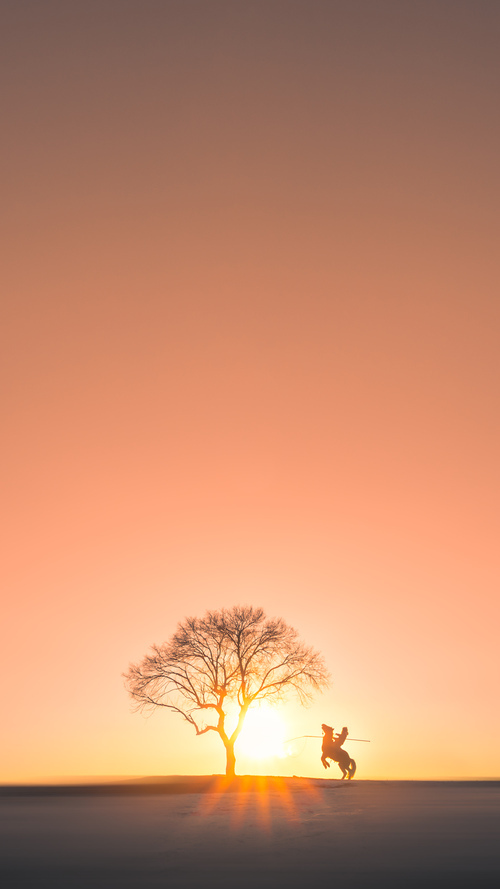 世界俱乐部杯在线观看-伊朗马术协会设立青少年马术奖学金，支持优秀学员发展。，伊朗田径马赛克