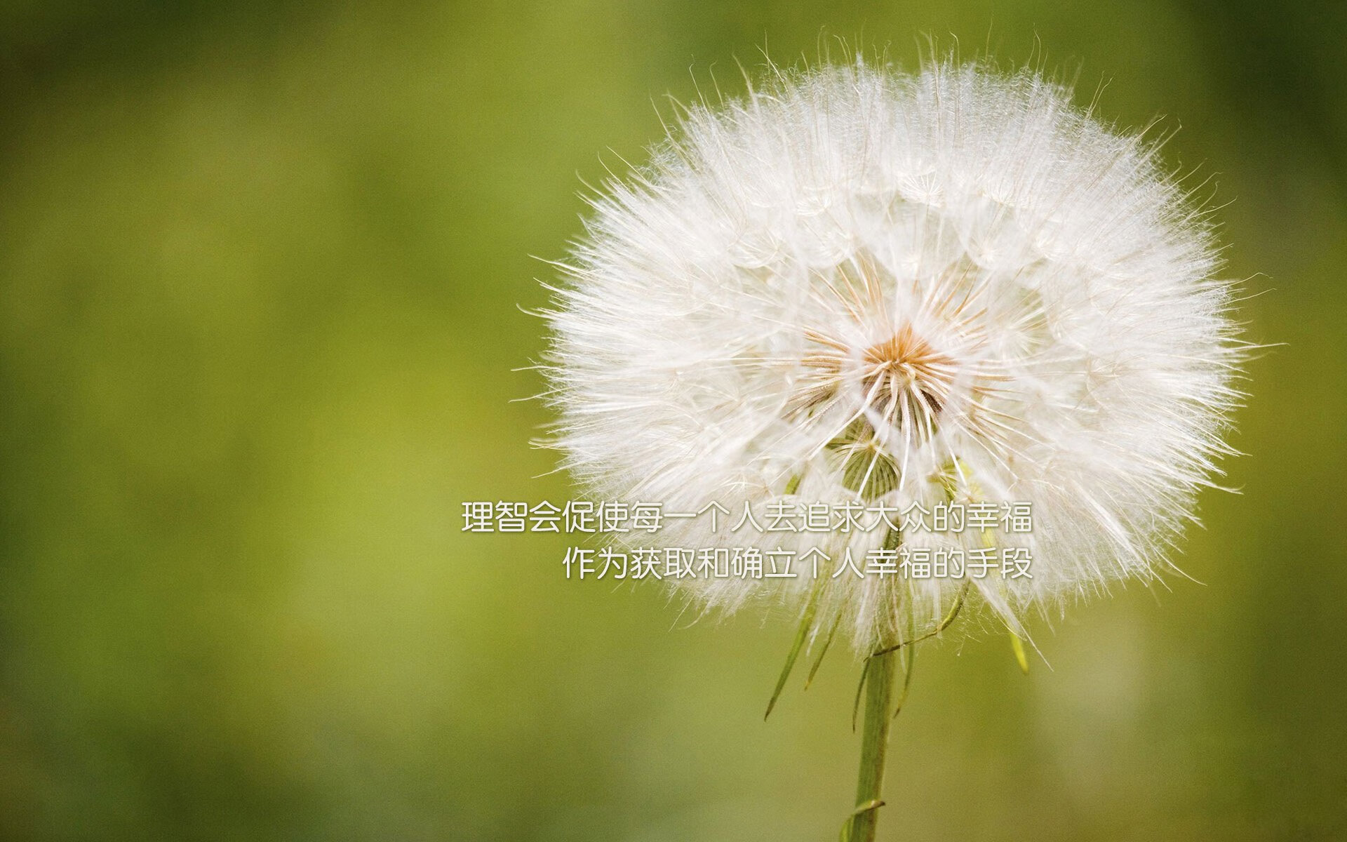 世俱杯官方-尤文图斯俱乐部宣布签约巴西球员卡洛斯，尤文图斯vs卡利亚里重播