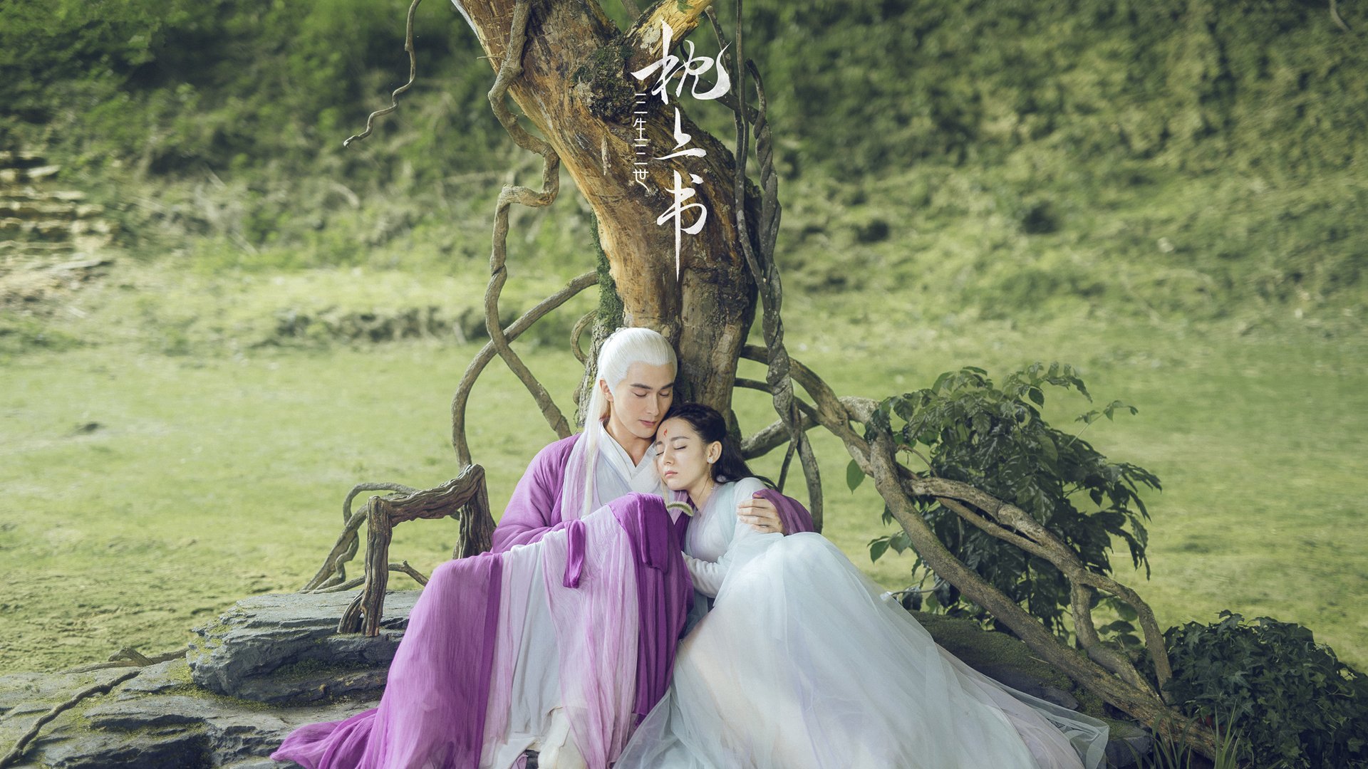 尼斯战胜梅斯,展现出一支强大的球队特质,尼斯vs马赛官方消息