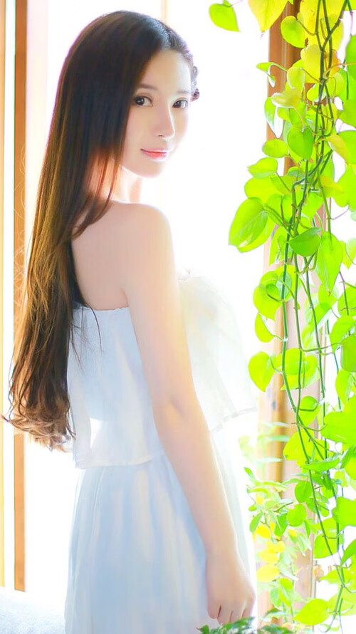 本菲卡冲击联赛冠军,本菲卡决赛