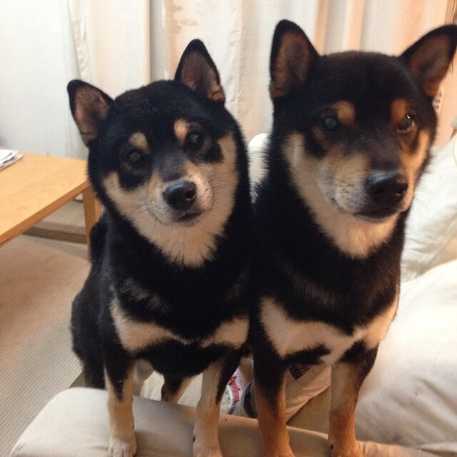 比利亚雷亚尔主场小胜,继续向前迈进西甲联赛,比利亚雷亚尔队史冠军