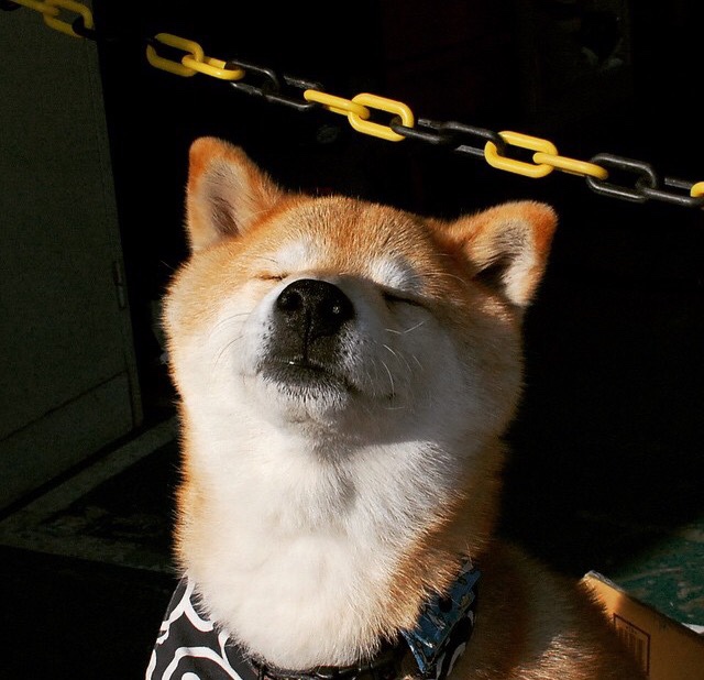 篮球运动员抗压能力训练技巧,篮球运动员训练强度