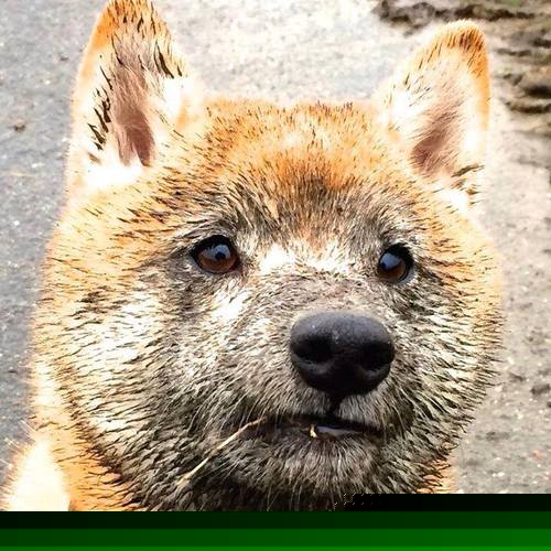 世俱杯决赛-长春亚泰球队在客场比赛中保持冷静，取得胜利，2021长春亚泰球员最新消息