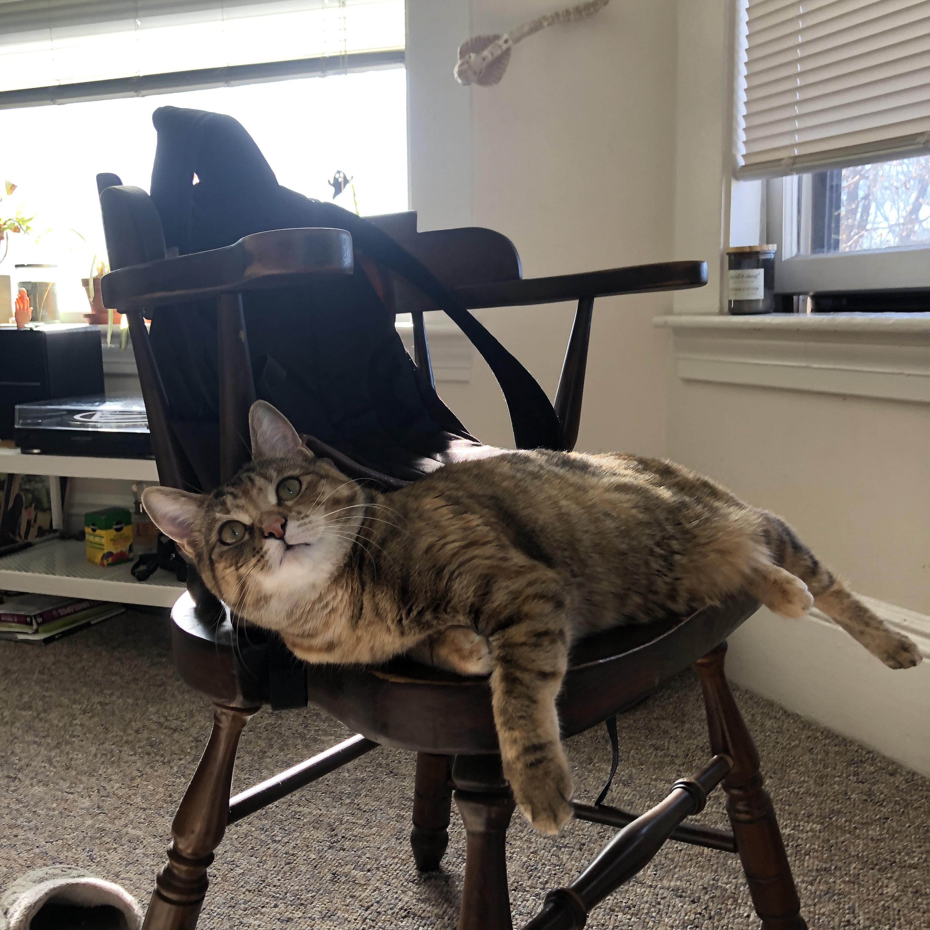 新型体育消费模式趋势分析,体育消费发展趋势