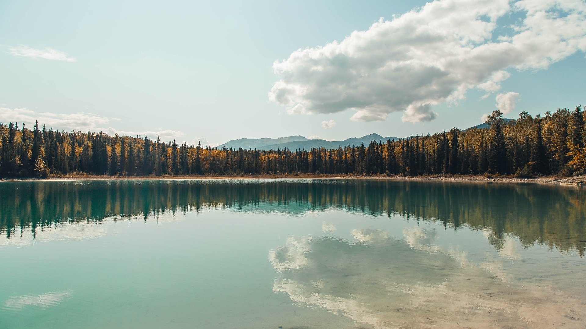 俱乐部世界杯-“东安湖赛场：铁人三项运动员挑战赛道，拼劲力与速度”
