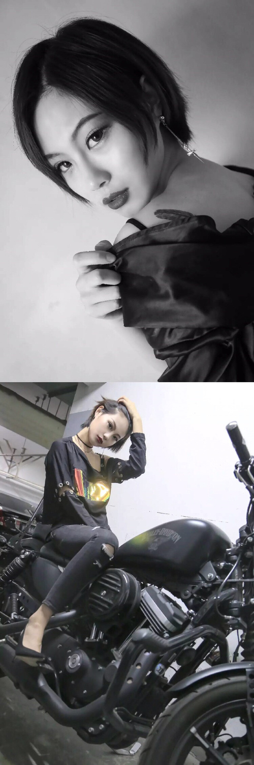 观众服务数字终端实现自助入场全流程,观众服务指南