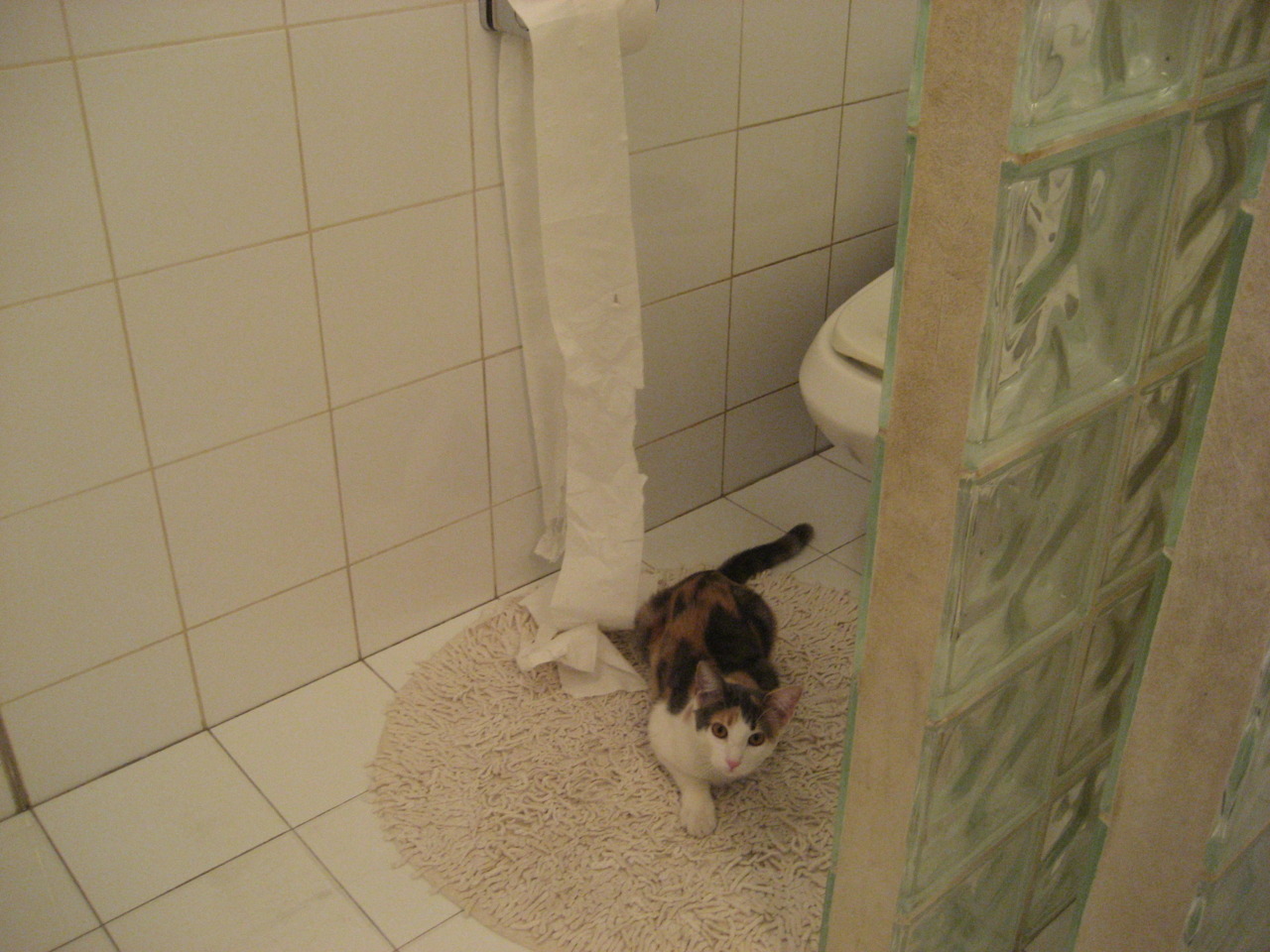 卡萨斯决赛表现赢得观众喝彩,卡萨世界赛